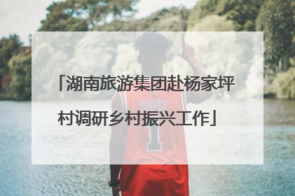 湖南旅游集团赴杨家坪村调研乡村振兴工作