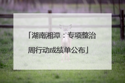 湖南湘潭：专项整治周行动成绩单公布