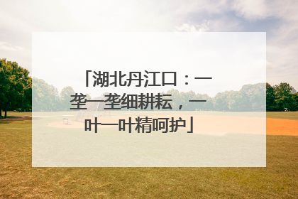 湖北丹江口：一垄一垄细耕耘，一叶一叶精呵护
