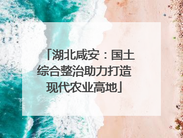 湖北咸安：国土综合整治助力打造现代农业高地