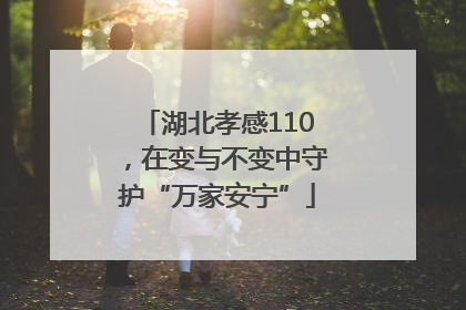 湖北孝感110，在变与不变中守护“万家安宁”