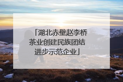 湖北赤壁赵李桥茶业创建民族团结进步示范企业