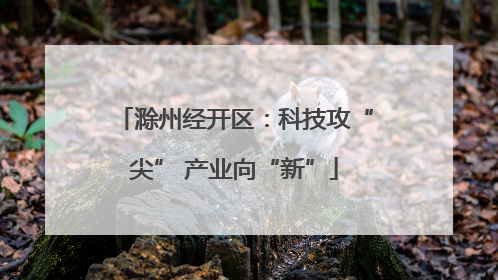 滁州经开区：科技攻“尖” 产业向“新”