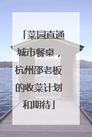 菜园直通城市餐桌，杭州邵老板的收菜计划和期待