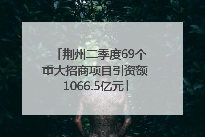荆州二季度69个重大招商项目引资额1066.5亿元