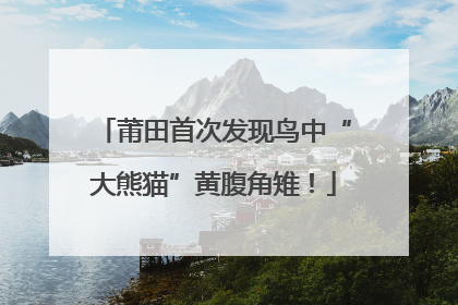 莆田首次发现鸟中“大熊猫”黄腹角雉！