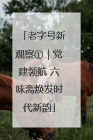 老字号新观察①｜党建领航 六味斋焕发时代新韵