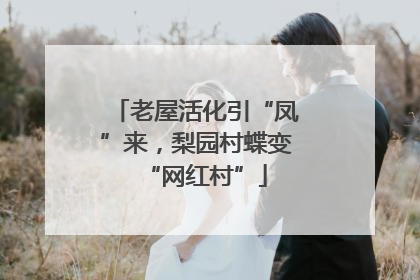 老屋活化引“凤”来，梨园村蝶变“网红村”