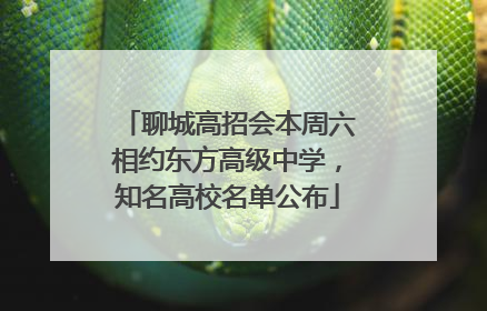 聊城高招会本周六相约东方高级中学，知名高校名单公布