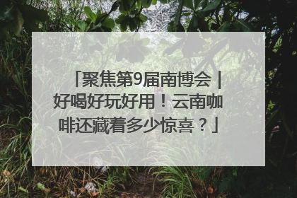 聚焦第9届南博会｜好喝好玩好用！云南咖啡还藏着多少惊喜？