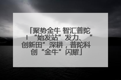 聚势金牛 智汇普陀〡“始发站”发力、“创新田”深耕，普陀科创“金牛”闪耀