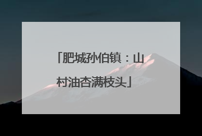 肥城孙伯镇：山村油杏满枝头