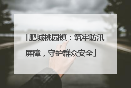 肥城桃园镇：筑牢防汛屏障，守护群众安全