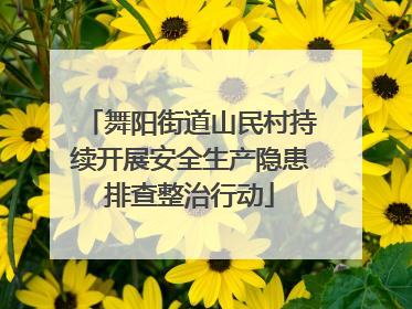 舞阳街道山民村持续开展安全生产隐患排查整治行动