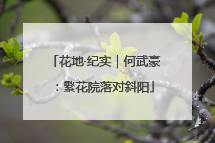 花地·纪实｜何武豪：繁花院落对斜阳