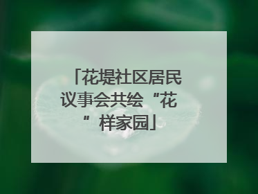 花堤社区居民议事会共绘“花”样家园