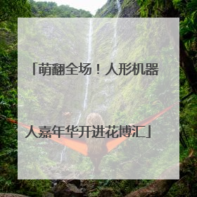 萌翻全场！人形机器人嘉年华开进花博汇