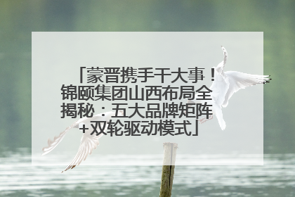 蒙晋携手干大事！锦颐集团山西布局全揭秘：五大品牌矩阵+双轮驱动模式