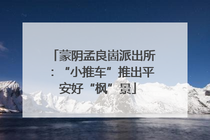 蒙阴孟良崮派出所：“小推车”推出平安好“枫”景