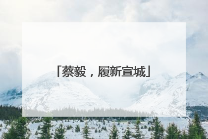 蔡毅，履新宣城