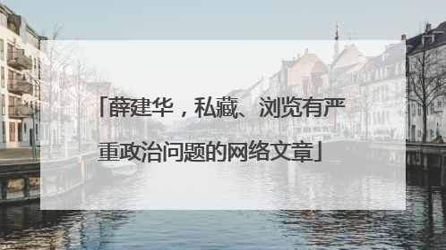 薛建华，私藏、浏览有严重政治问题的网络文章
