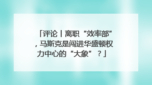 评论丨离职“效率部”，马斯克是闯进华盛顿权力中心的“大象”？