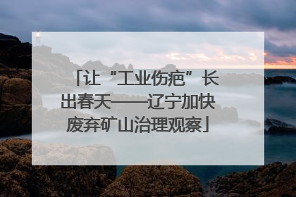 让“工业伤疤”长出春天——辽宁加快废弃矿山治理观察