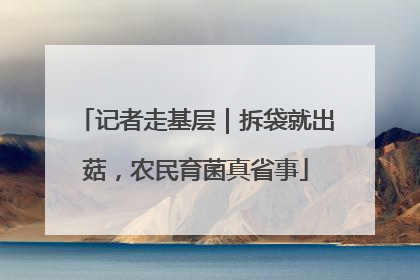 记者走基层｜拆袋就出菇，农民育菌真省事