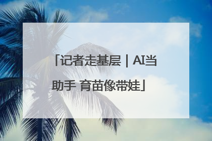 记者走基层｜AI当助手 育苗像带娃