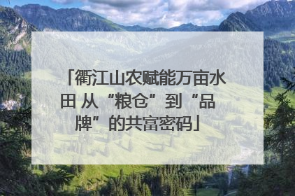 衢江山农赋能万亩水田 从“粮仓”到“品牌”的共富密码