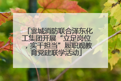 襄城消防联合泽东化工集团开展“立足岗位，实干担当”履职观教育党建联学活动