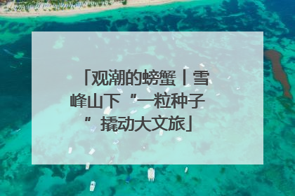 观潮的螃蟹丨雪峰山下“一粒种子”撬动大文旅