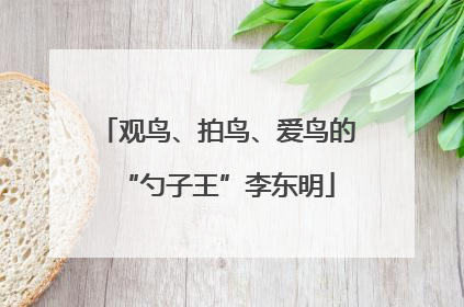 观鸟、拍鸟、爱鸟的“勺子王”李东明
