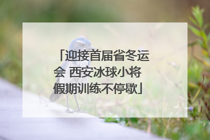 迎接首届省冬运会 西安冰球小将假期训练不停歇