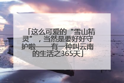 这么可爱的“雪山精灵”，当然是要好好守护啦——有一种叫云南的生活之365天