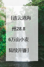 连云港海州28.86万亩小麦陆续开镰