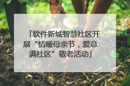 软件新城智慧社区开展“情暖母亲节，爱意满社区”敬老活动