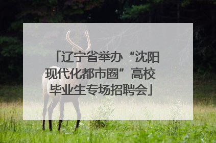 辽宁省举办“沈阳现代化都市圈”高校毕业生专场招聘会