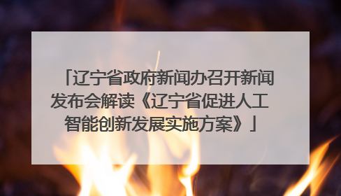 辽宁省政府新闻办召开新闻发布会解读《辽宁省促进人工智能创新发展实施方案》