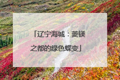 辽宁海城：菱镁之都的绿色蝶变
