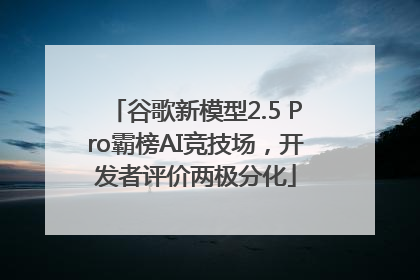谷歌新模型2.5 Pro霸榜AI竞技场，开发者评价两极分化