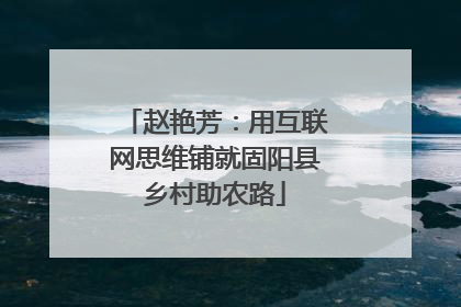 赵艳芳：用互联网思维铺就固阳县乡村助农路