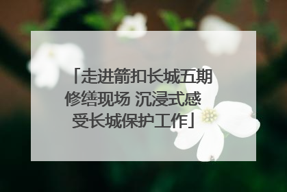 走进箭扣长城五期修缮现场 沉浸式感受长城保护工作