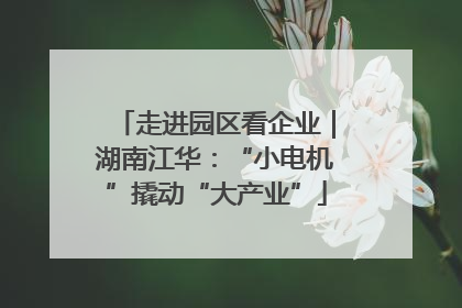 走进园区看企业｜湖南江华：“小电机”撬动“大产业”