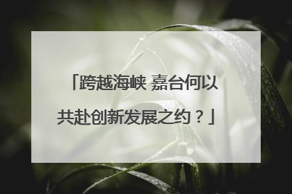 跨越海峡 嘉台何以共赴创新发展之约？