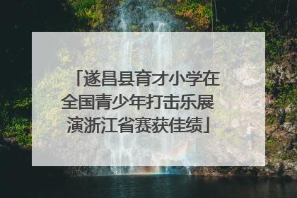 遂昌县育才小学在全国青少年打击乐展演浙江省赛获佳绩