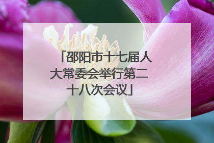 邵阳市十七届人大常委会举行第二十八次会议