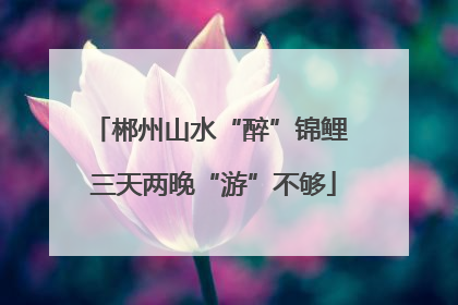 郴州山水“醉”锦鲤 三天两晚“游”不够
