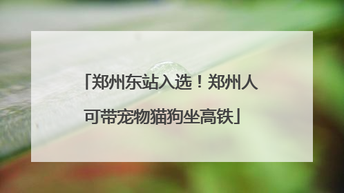 郑州东站入选！郑州人可带宠物猫狗坐高铁