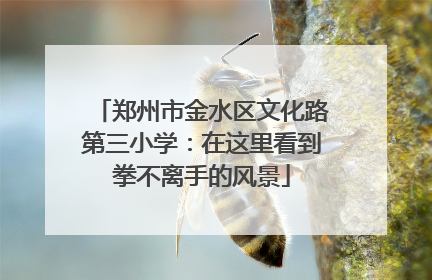 郑州市金水区文化路第三小学：在这里看到拳不离手的风景